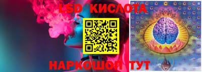спайс Гай