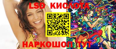 спайс Гай