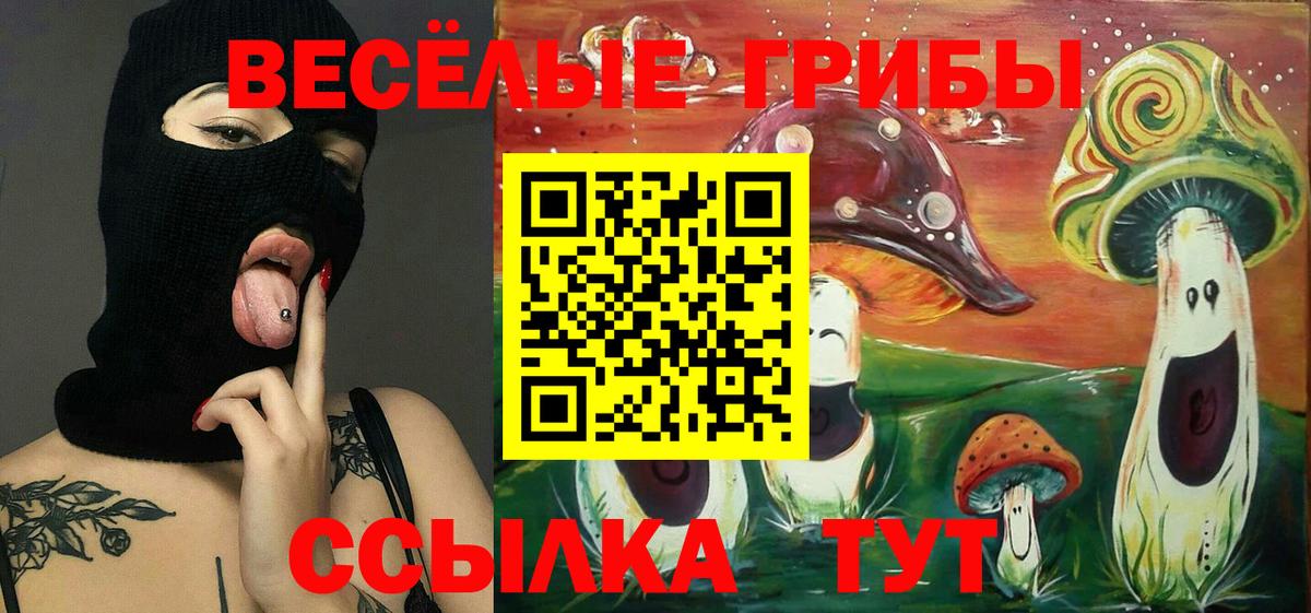 Кимовск  Галлюциногенные грибы ЛСД  Вход с VPN 