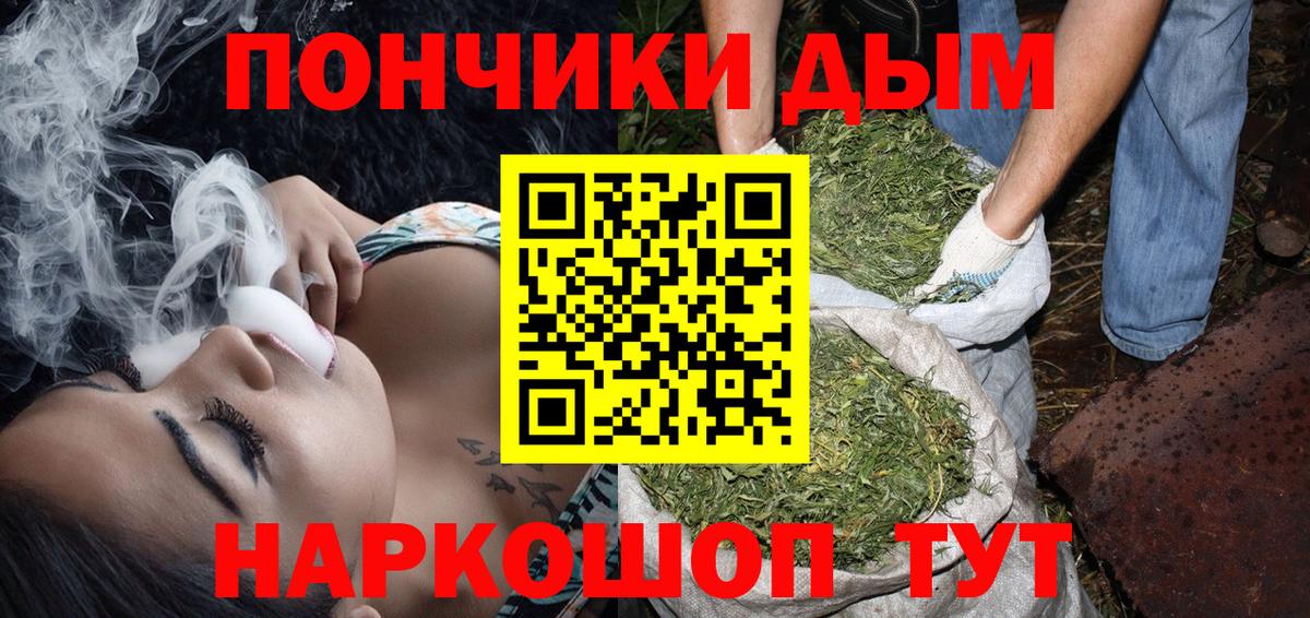 Бошки марихуана ГИДРОПОН  Конопля планчик  Каннабис White Widow  Кимовск  Вход с VPN 